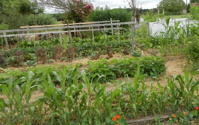 aménagement paysager